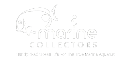 Marine Collectors